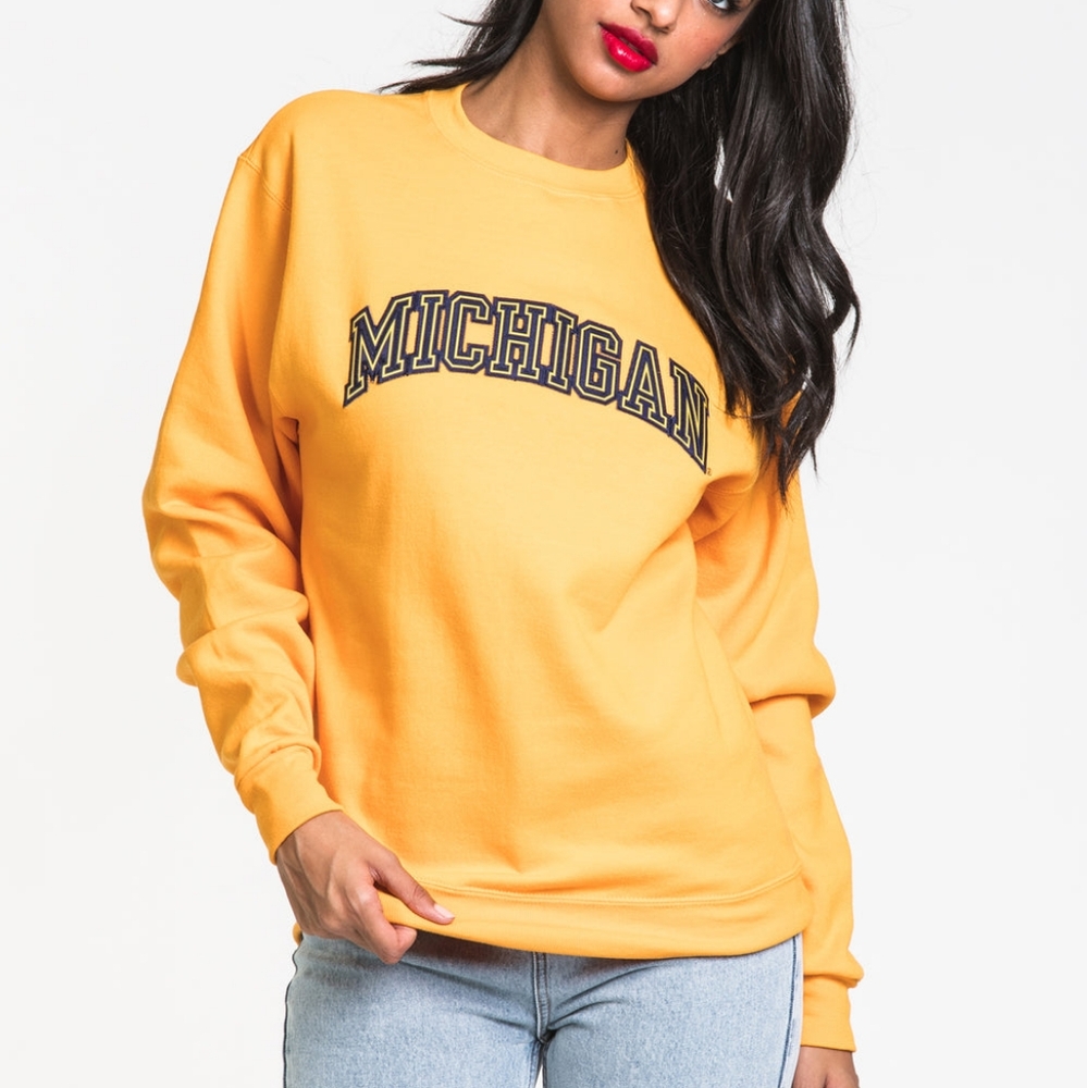 Champion Michigan pullover
